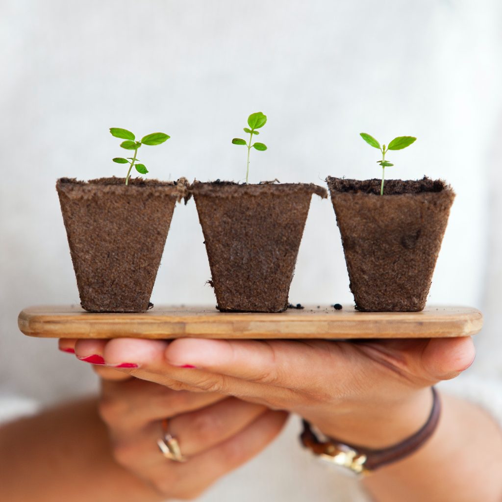 plan to grow